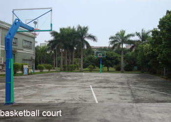 basketball court